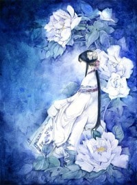 异常生物见闻录内
